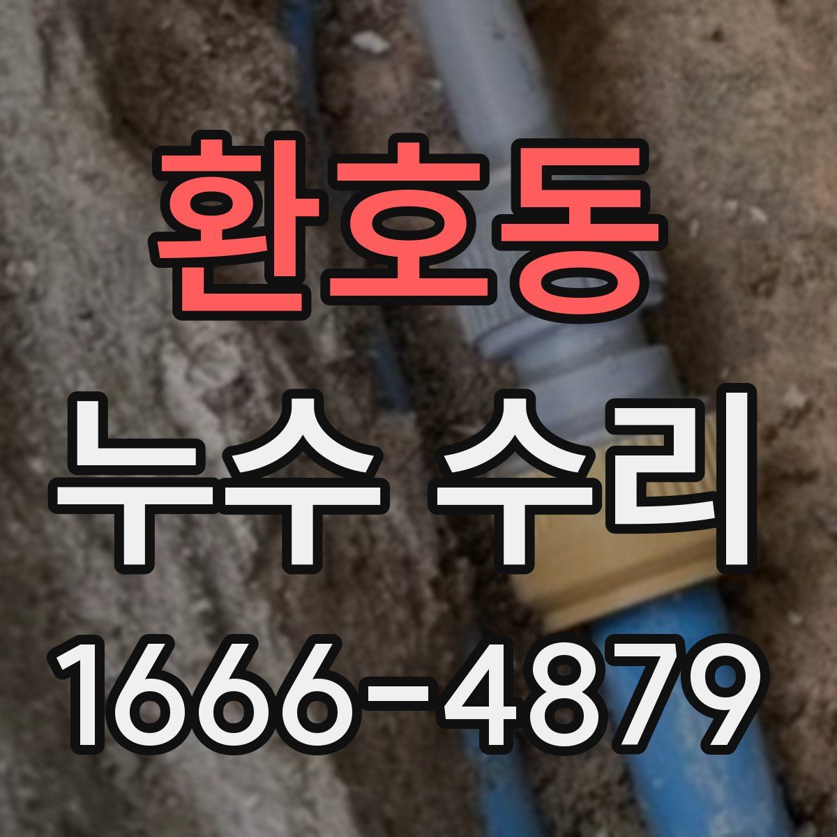 환호동 누수 수리