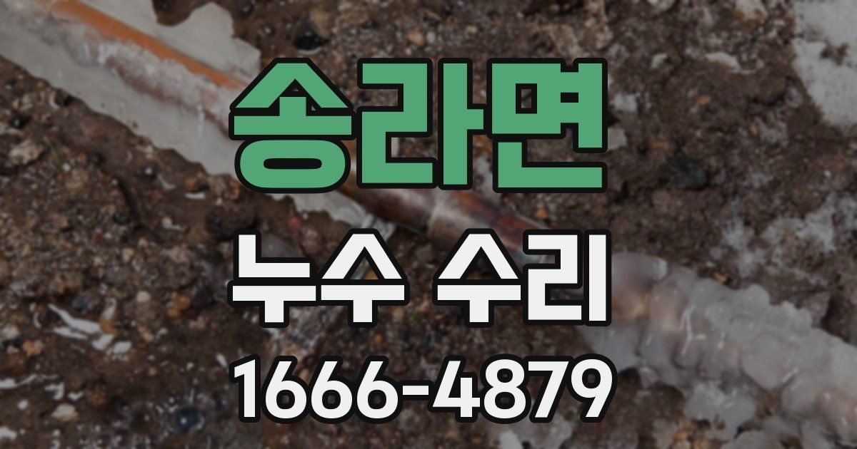 송라면 누수 수리