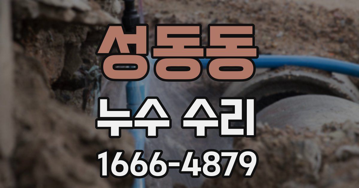 성동동 누수 수리