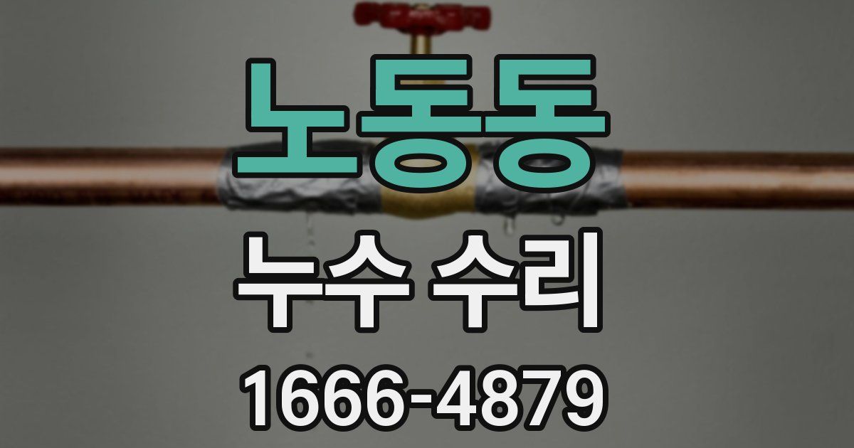 노동동 누수 수리
