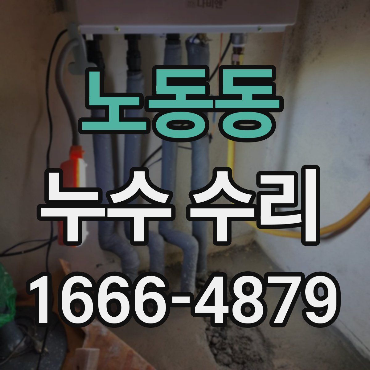 노동동 누수 수리