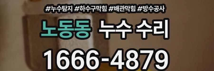 노동동 누수 수리