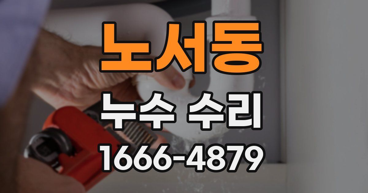 노서동 누수 수리