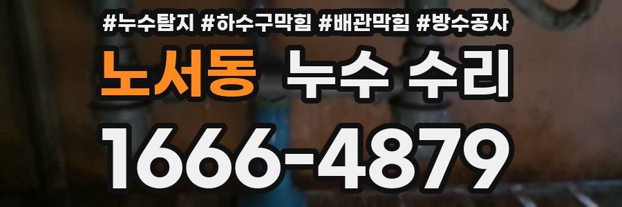 노서동 누수 수리