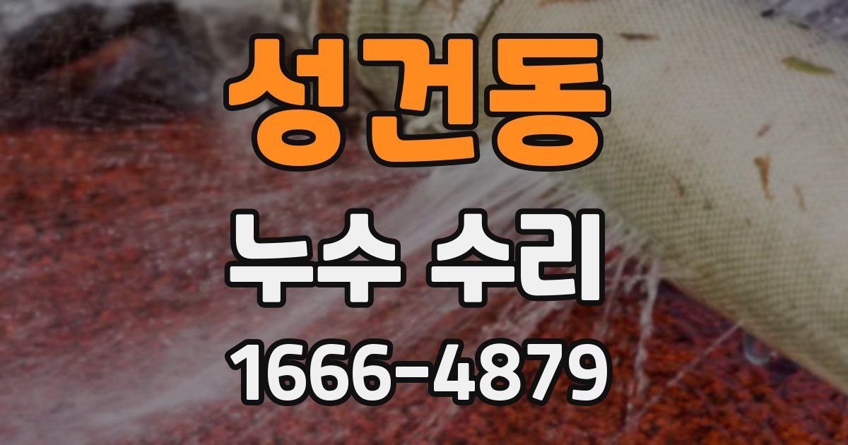 성건동 누수 수리