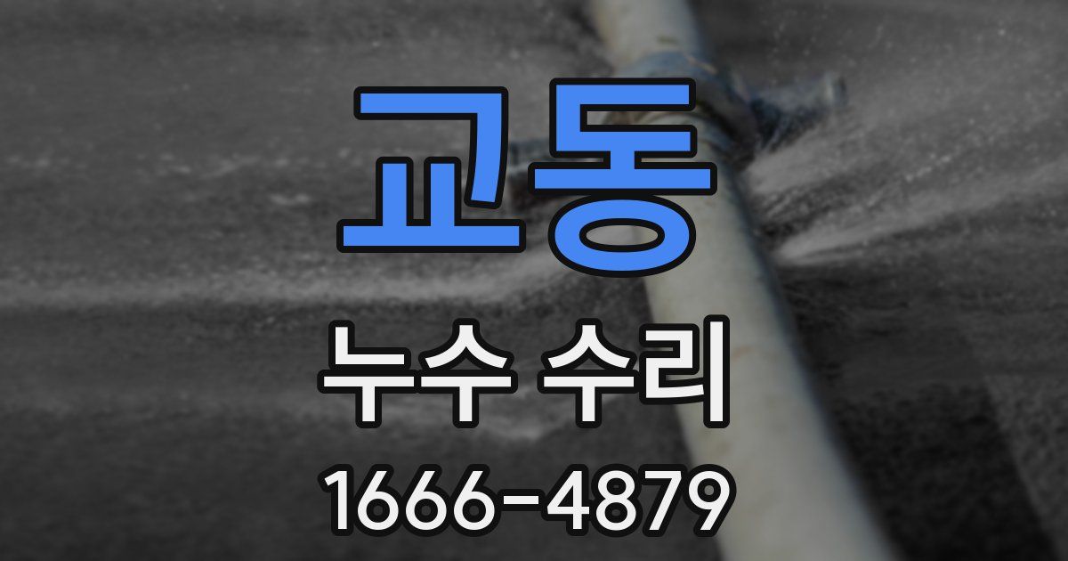 교동 누수 수리