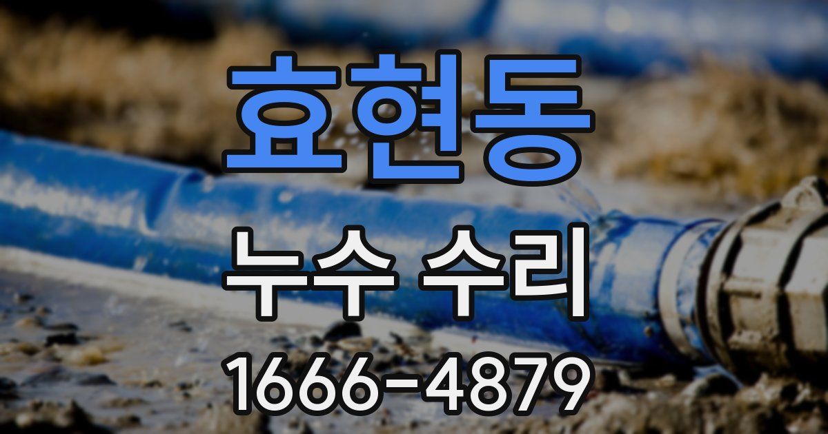 효현동 누수 수리