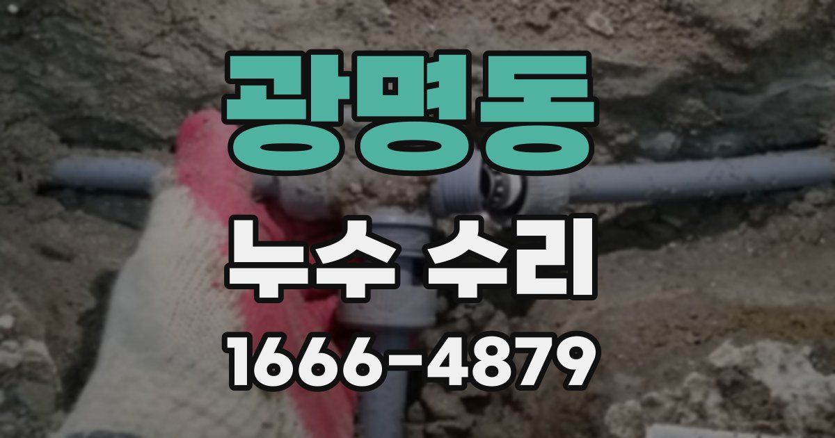 광명동 누수 수리