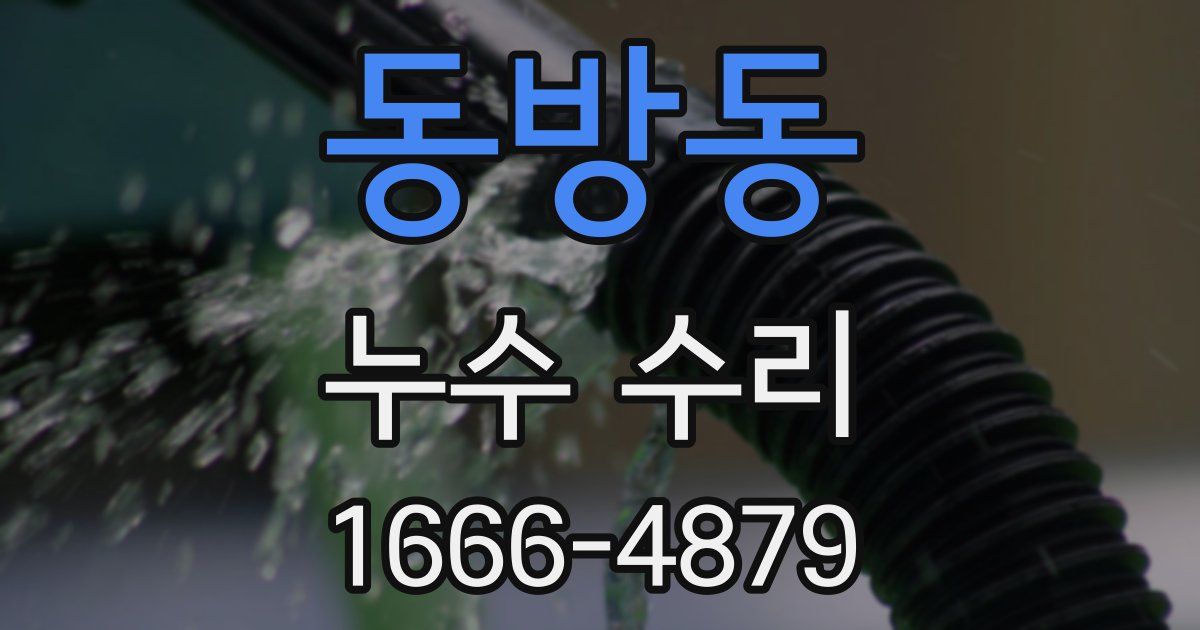 동방동 누수 수리