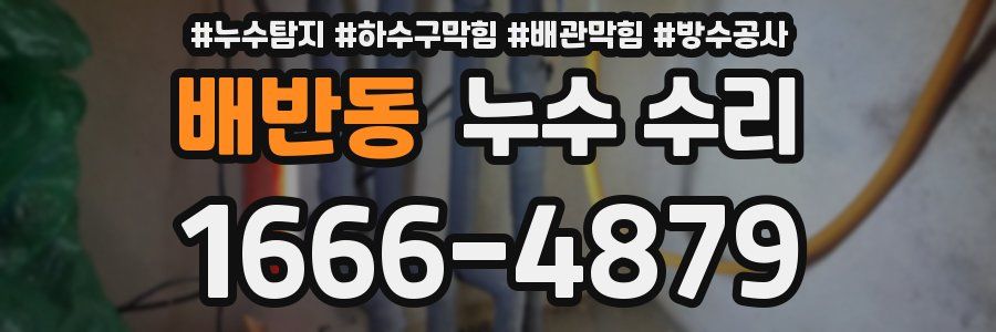 배반동 누수 수리