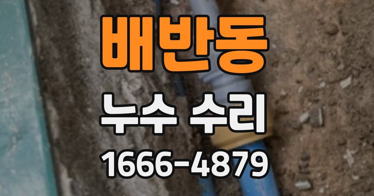 배반동 누수 수리