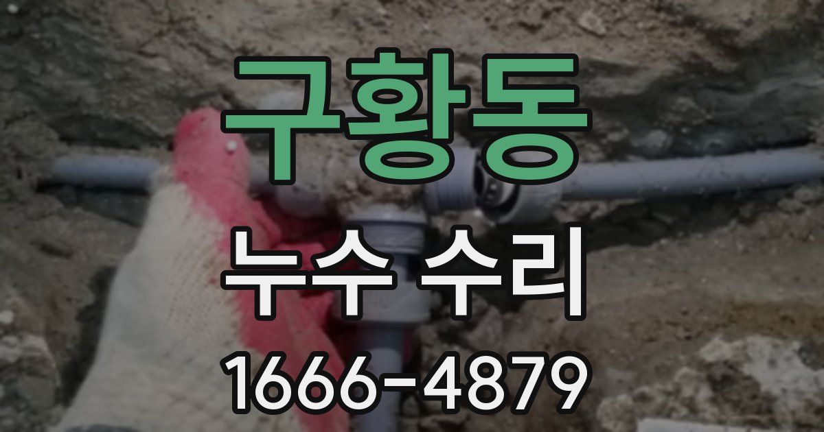 구황동 누수 수리
