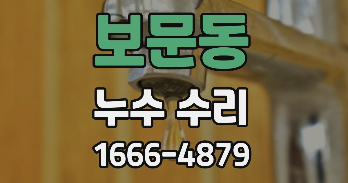보문동 누수 수리