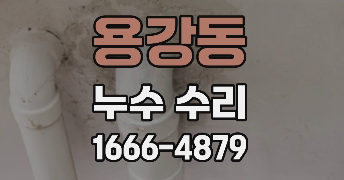 용강동 누수 수리
