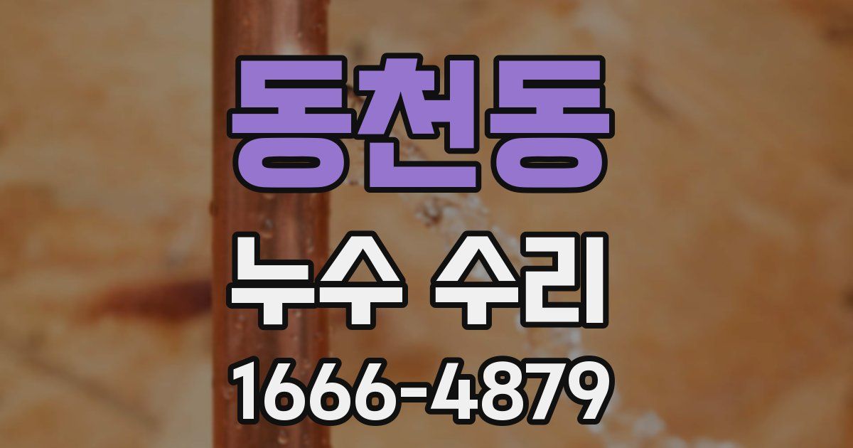 동천동 누수 수리