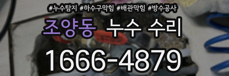 조양동 누수 수리