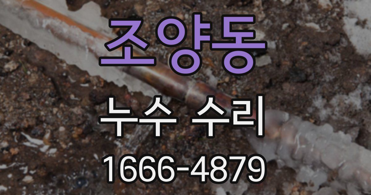 조양동 누수 수리