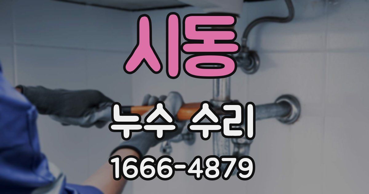 시동 누수 수리