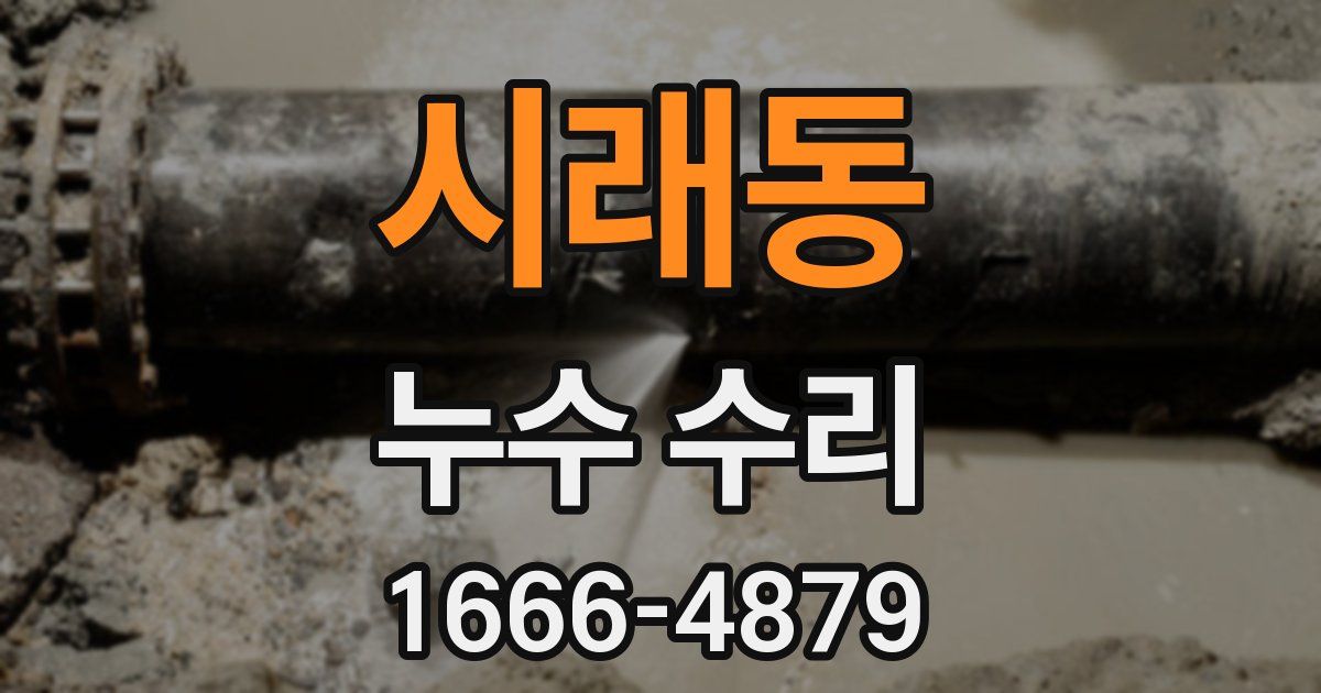 시래동 누수 수리
