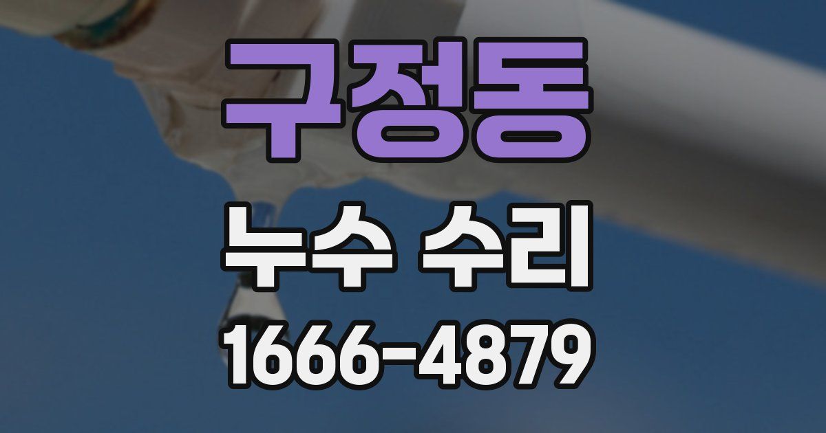 구정동 누수 수리