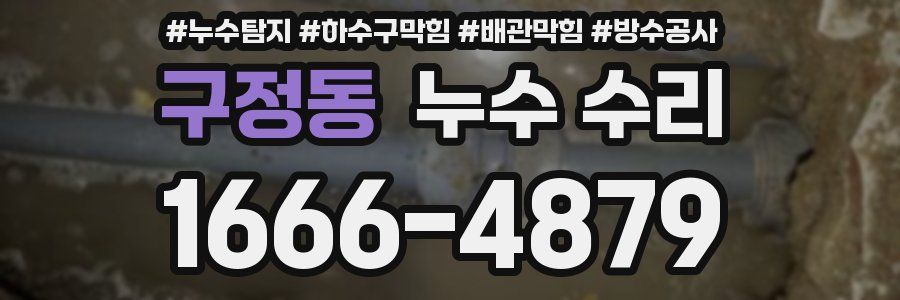 구정동 누수 수리