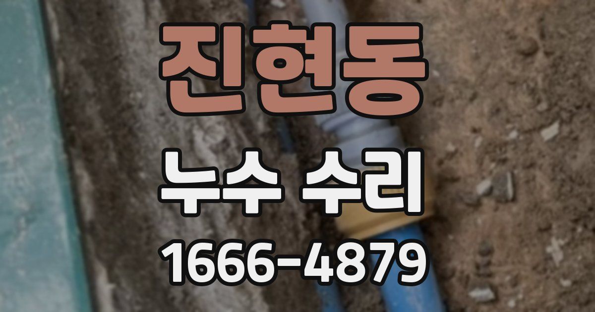 진현동 누수 수리