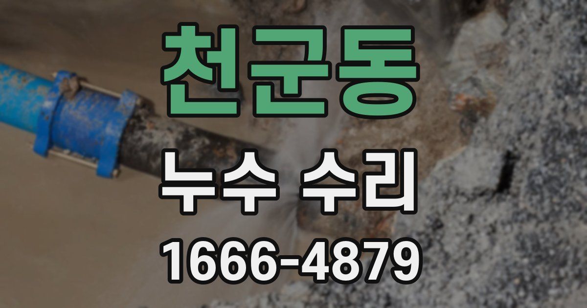 천군동 누수 수리