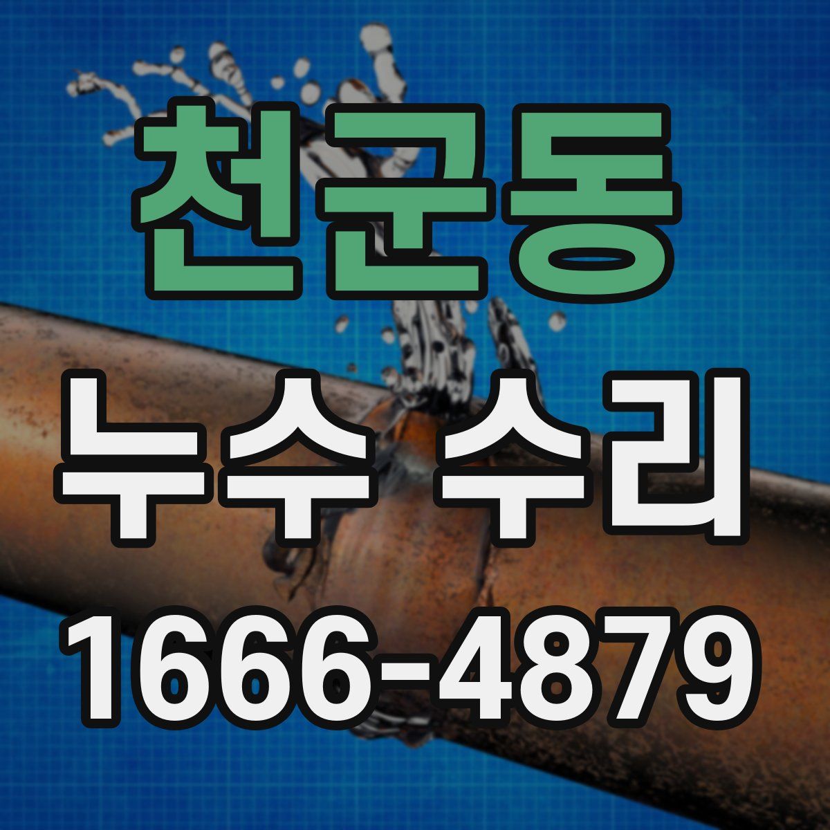 천군동 누수 수리