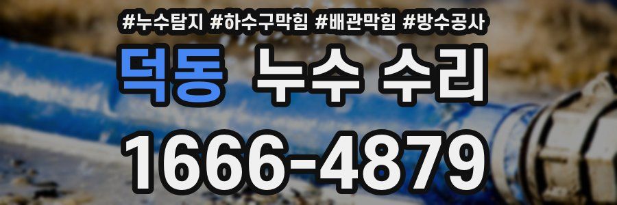 덕동 누수 수리