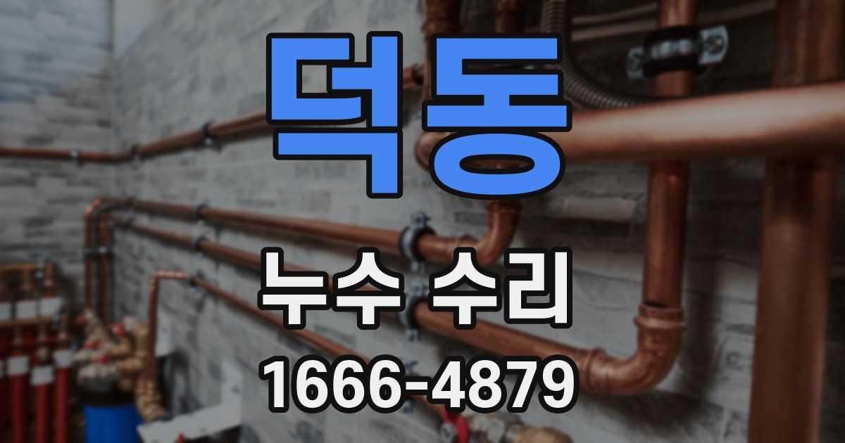 덕동 누수 수리