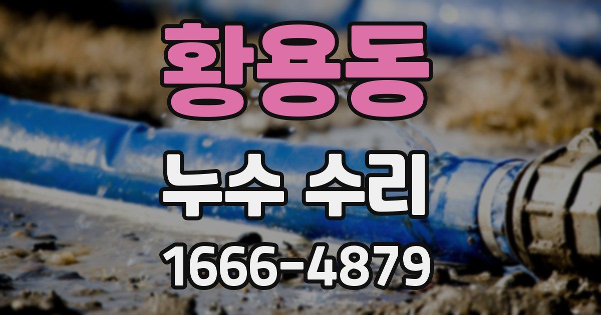 황용동 누수 수리