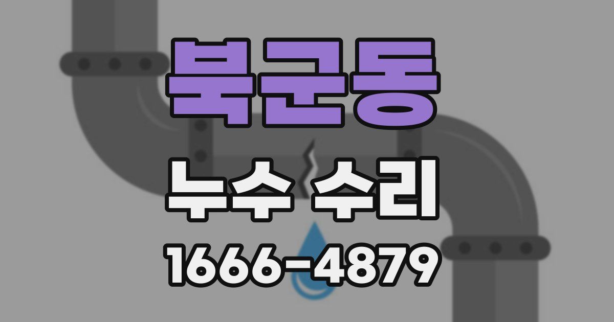 북군동 누수 수리