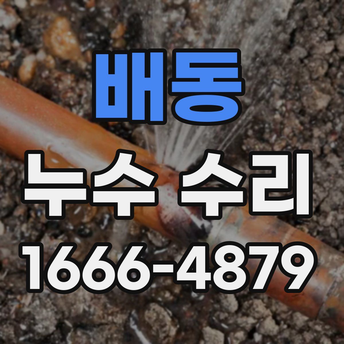 배동 누수 수리