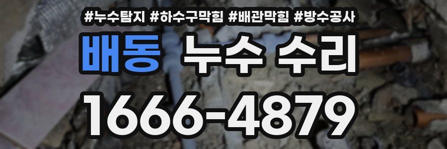 배동 누수 수리