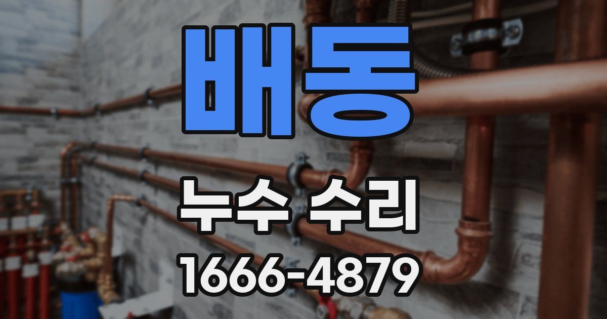 배동 누수 수리