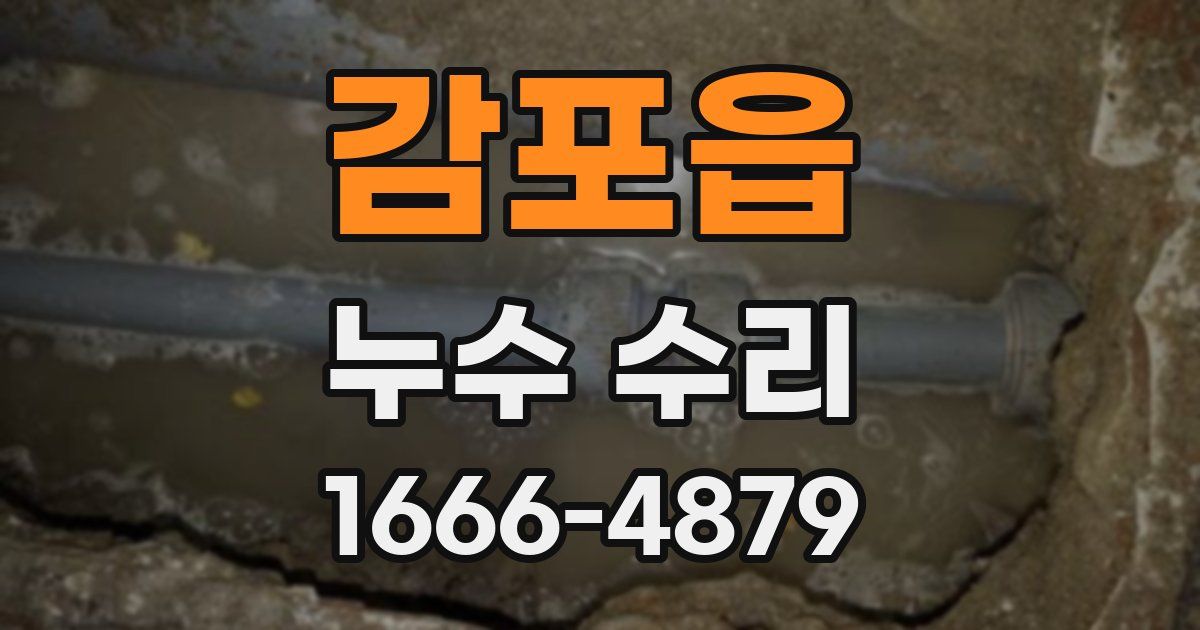 감포읍 누수 수리