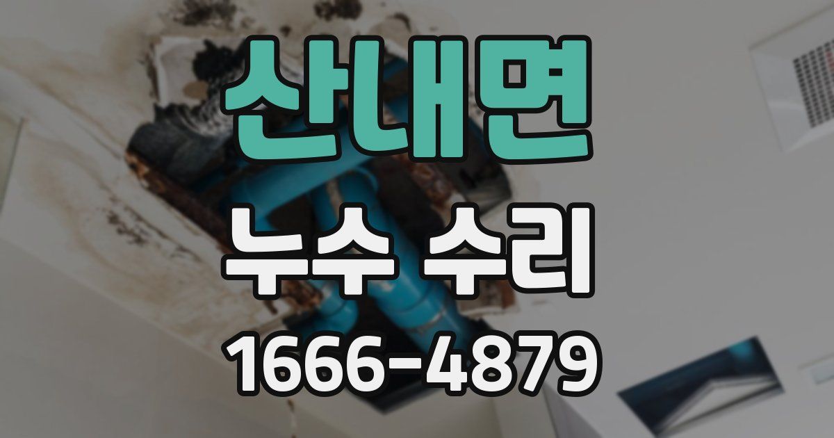 산내면 누수 수리