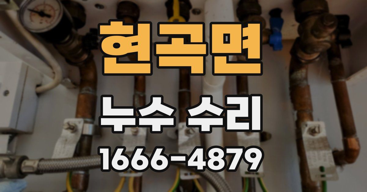 현곡면 누수 수리