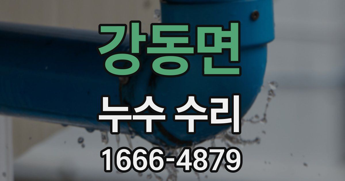 강동면 누수 수리