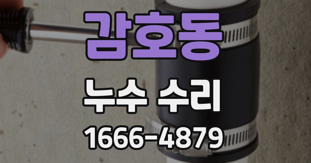 감호동 누수 수리