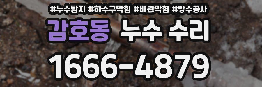 감호동 누수 수리