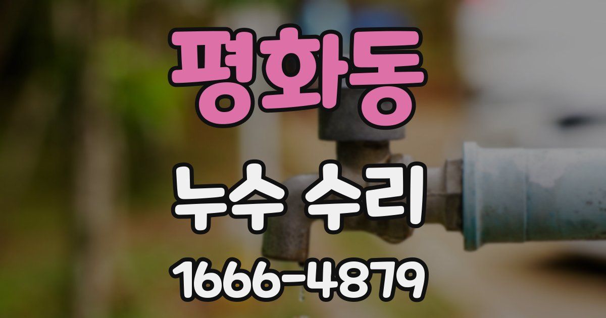 평화동 누수 수리