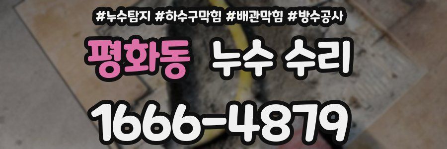 평화동 누수 수리