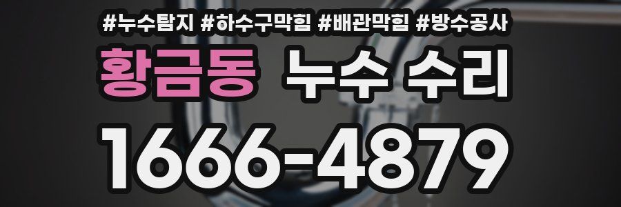 황금동 누수 수리