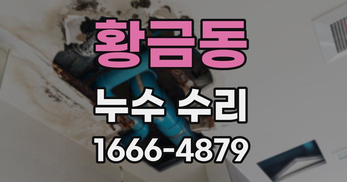 황금동 누수 수리