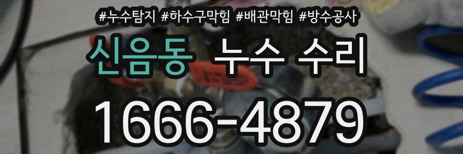 신음동 누수 수리
