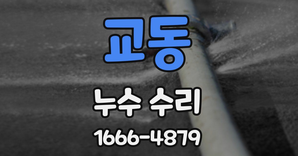 교동 누수 수리