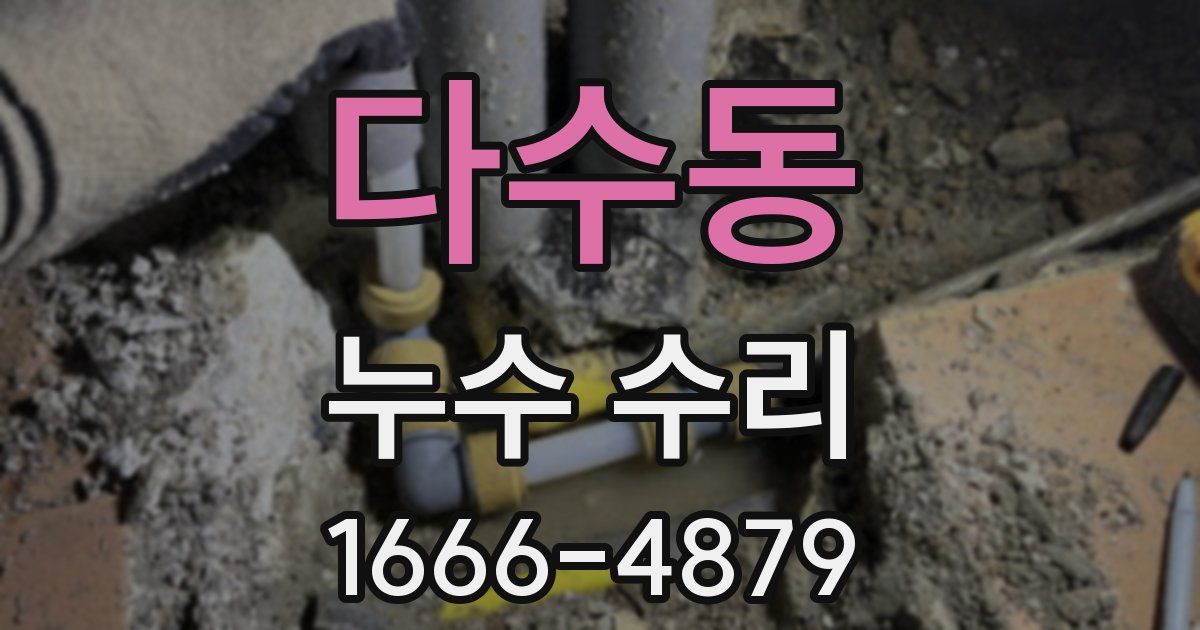 다수동 누수 수리