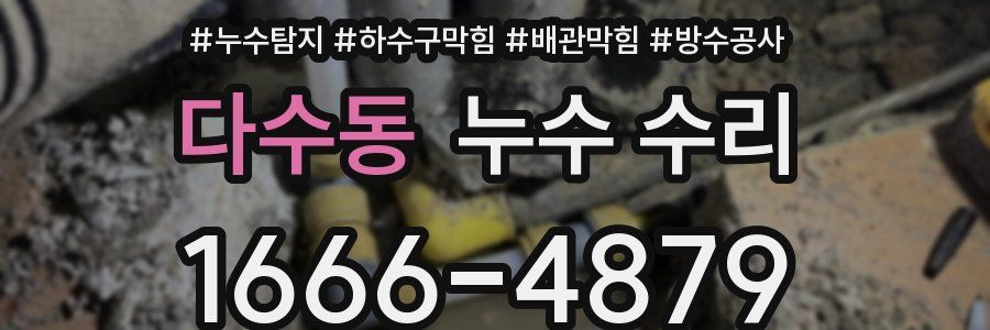 다수동 누수 수리