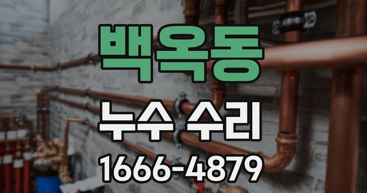 백옥동 누수 수리